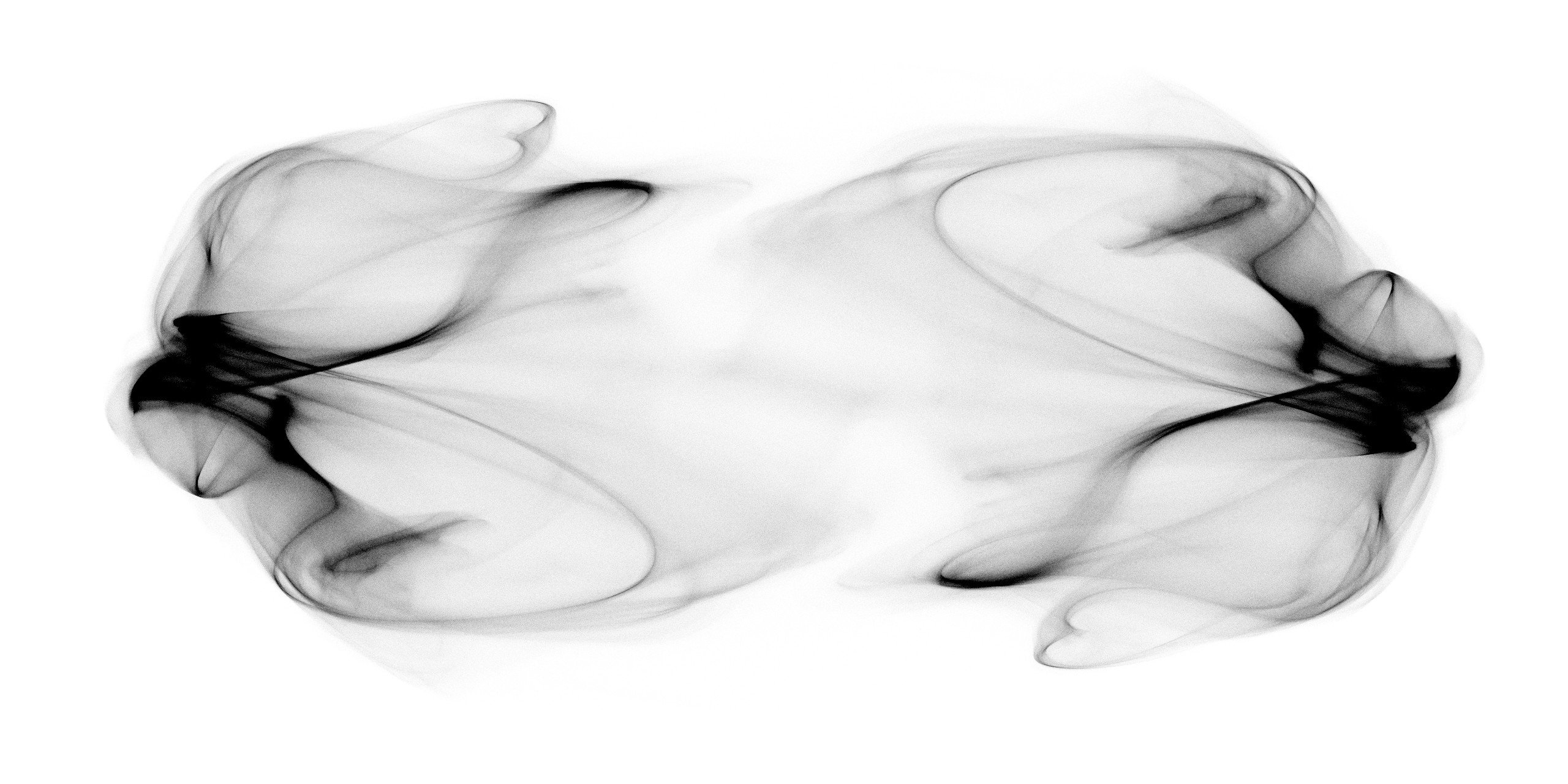 visualization of low-dimensional attractor of chaotic firing-rate network by Rainer Engelken